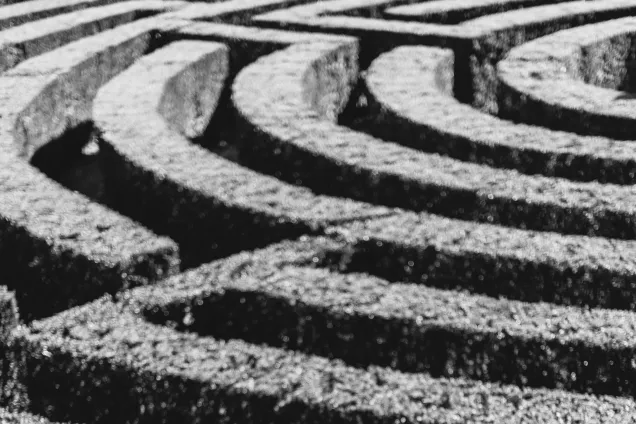 A hedge maze in black and white