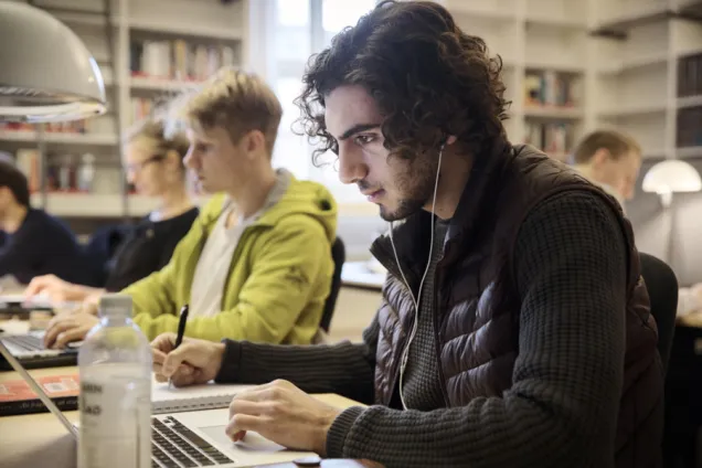Students studying in the library