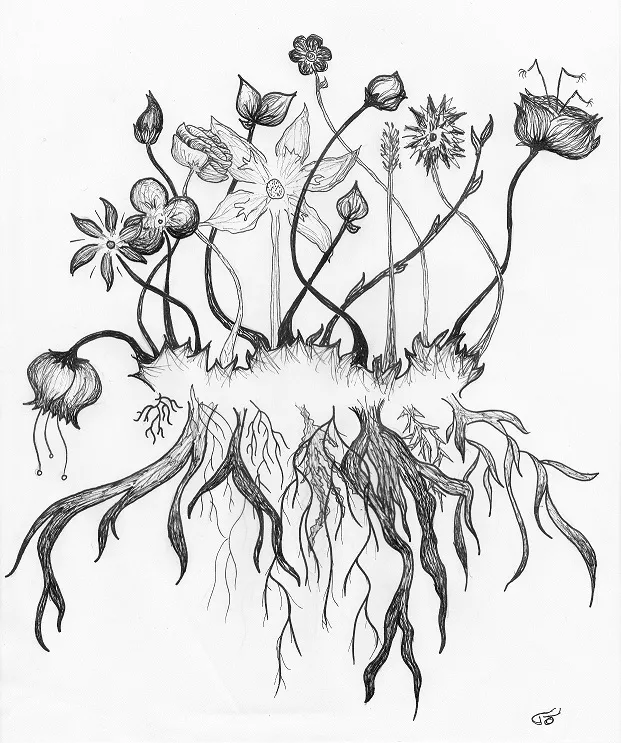 Interdisciplinarity, a drawing by Tyra Örnberg